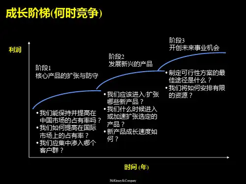 德隆战略规划成长阶梯规划实施讨论bdbg