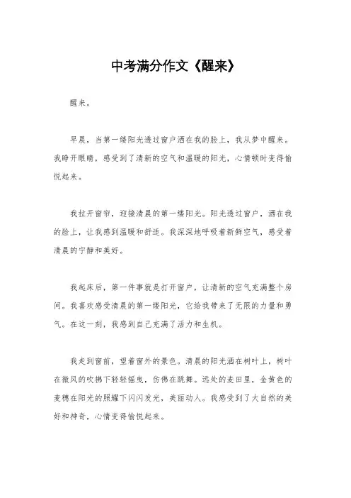 中考满分作文《醒来》