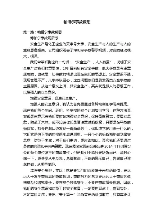 帕博尔事故反思