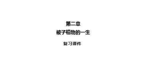 人教版七年级生物上册《被子植物的一生》复习课件