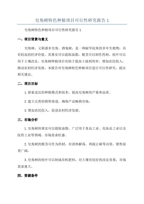 皂角树特色种植项目可行性研究报告1