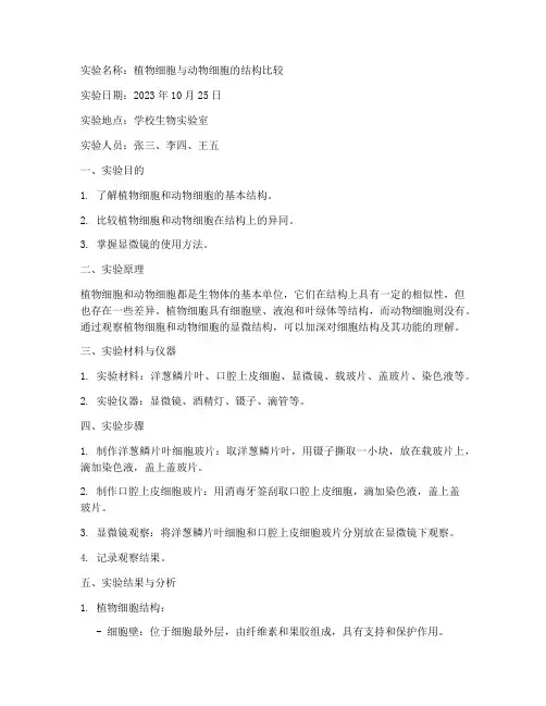 生物分实验报告册