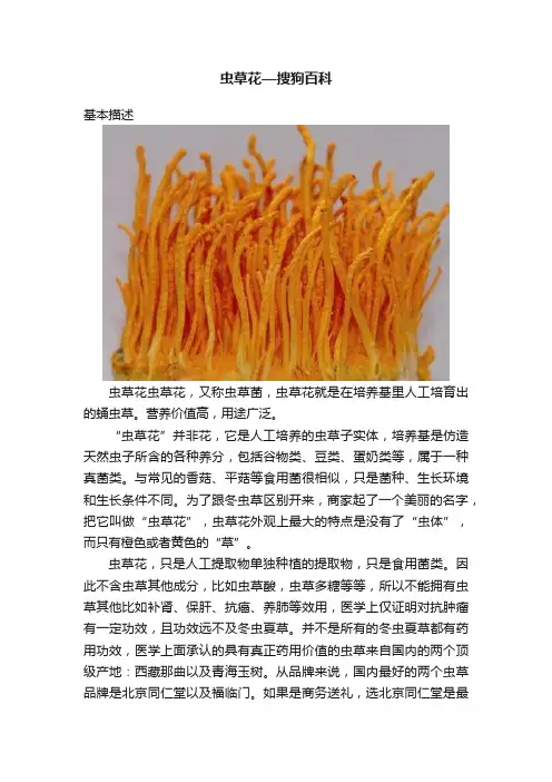虫草花—搜狗百科