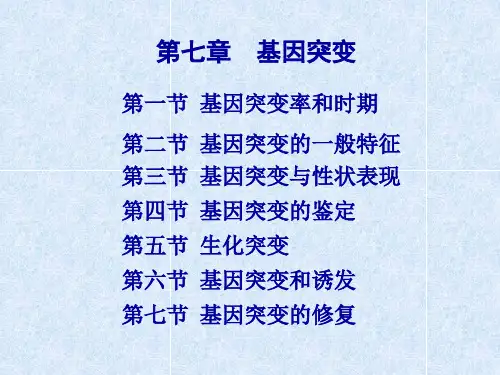 基因突变-鉴定-