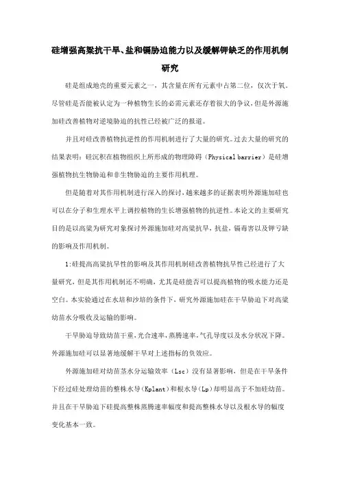 硅增强高粱抗干旱、盐和镉胁迫能力以及缓解钾缺乏的作用机制研究