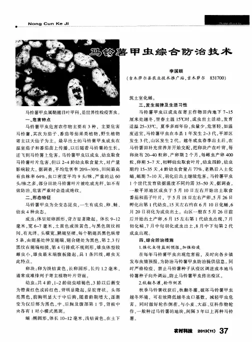 马铃薯甲虫综合防治技术