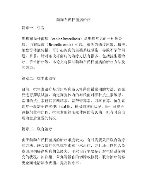 狗狗布氏杆菌病治疗