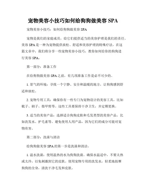 宠物美容小技巧如何给狗狗做美容SPA