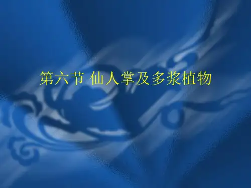 仙人掌及多浆植物