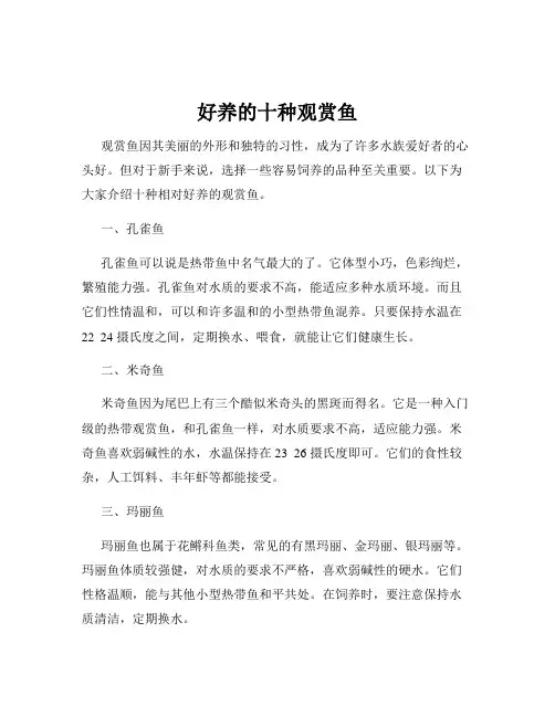 好养的十种观赏鱼