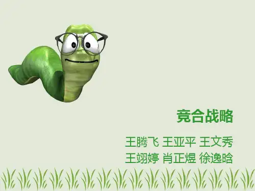 竞合战略