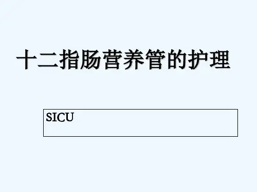 十二指肠营养管的护理终极版 PPT