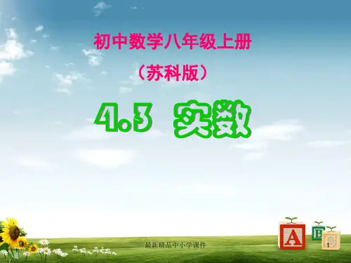八年级数学上册课件：4-3《实数》课件(共15张PPT)