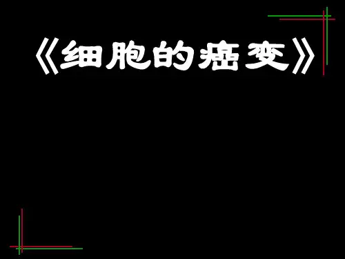 人教版必修一第六章第四节  细胞癌变  课件 (共44张PPT)