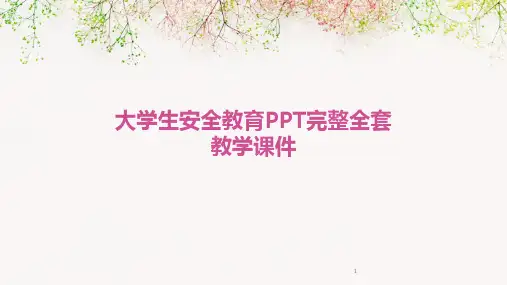 2024年度-大学生安全教育PPT完整全套教学课件