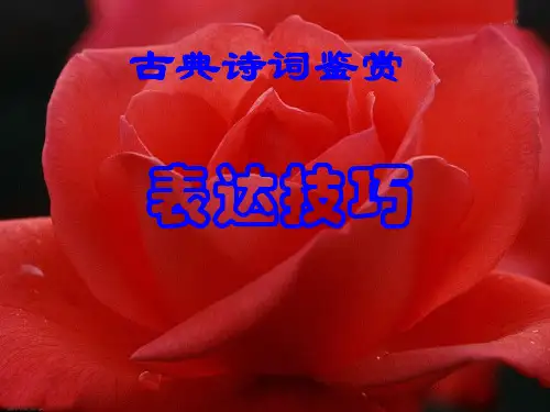 古诗鉴赏表达技巧1