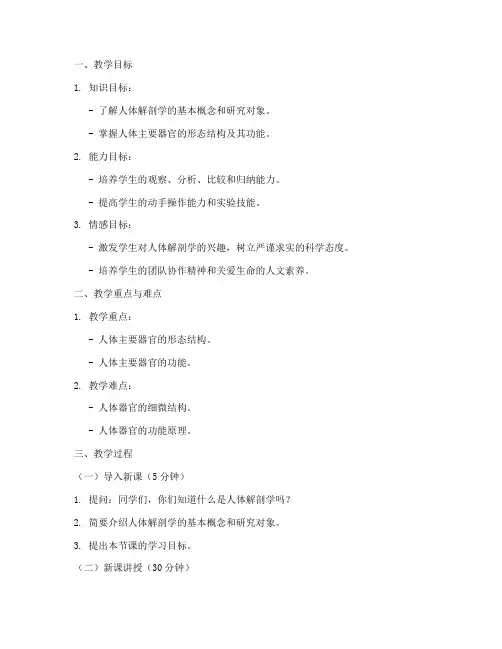 人体解剖试讲教案模板范文