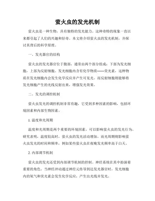 萤火虫的发光机制