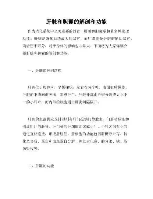 肝脏和胆囊的解剖和功能