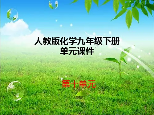 人教版化学九年级下册单元课件-第十单元