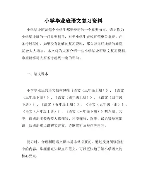 小学毕业班语文复习资料