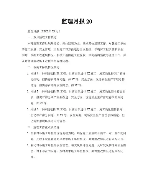 监理月报-专业文档