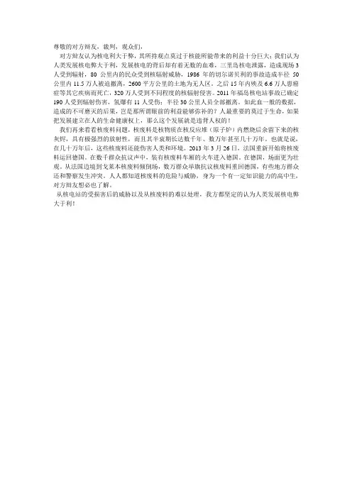 核能 能源 辩论 陈词