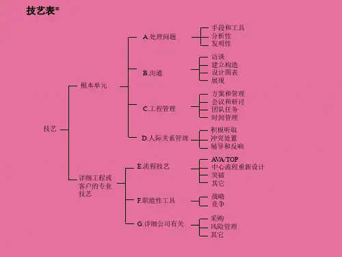 麦肯锡咨询顾问必备宝典技能表ppt课件