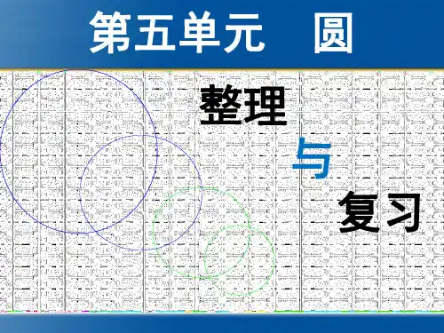 2014年人教版六年级上册数学第五单元圆—整理与复习