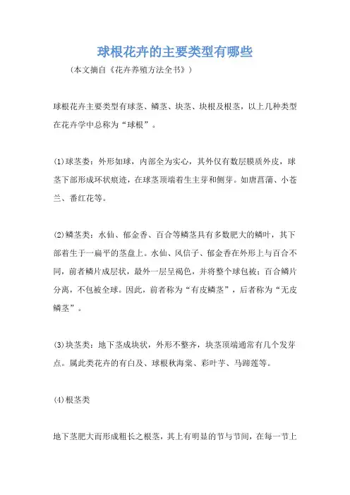 球根花卉的主要类型有哪些