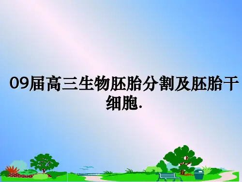 最新09届高三生物胚胎分割及胚胎干细胞.教学讲义PPT