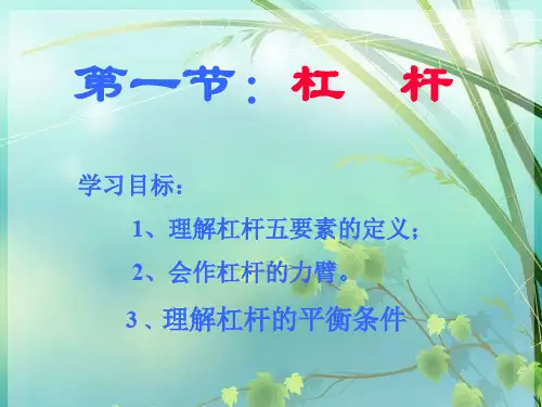 初中物理 杠杆定理 PPT课件 图文