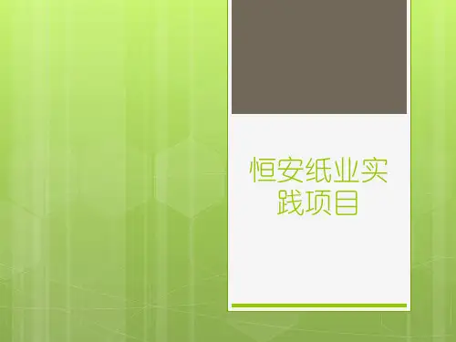 恒安纸业实践项目