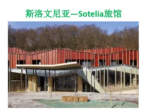 山地旅馆分析ppt课件