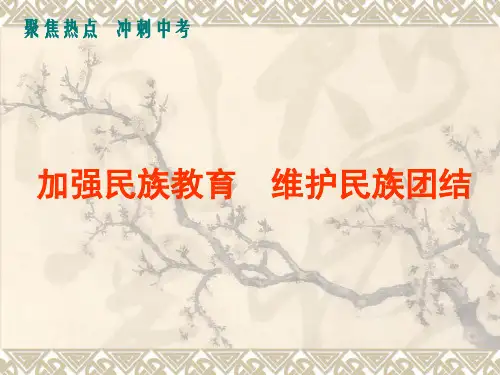 维护民族团结精选教学PPT课件
