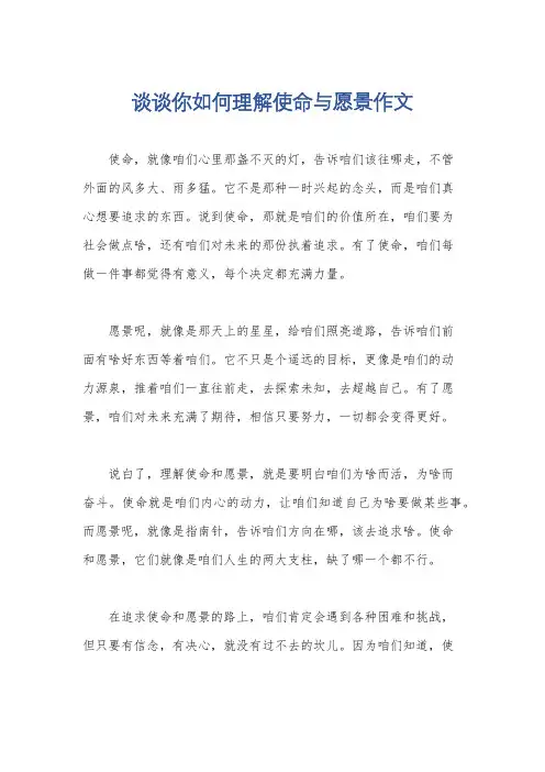 谈谈你如何理解使命与愿景作文