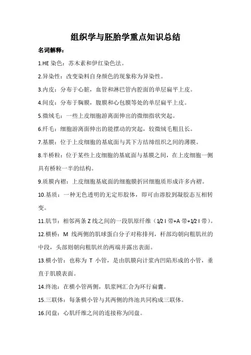 组织学与胚胎学高频考点总结(名词解释简答填空单选)