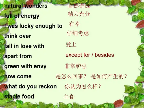 外研高中选修七Module5EthnicCulture语法