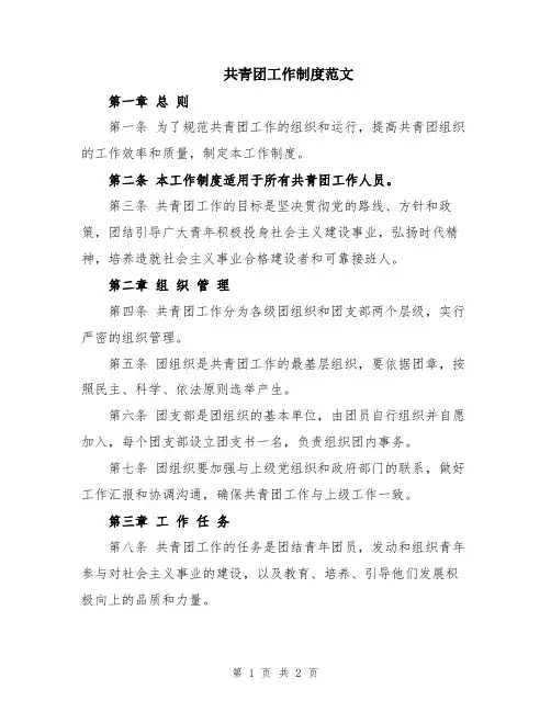 共青团工作制度范文