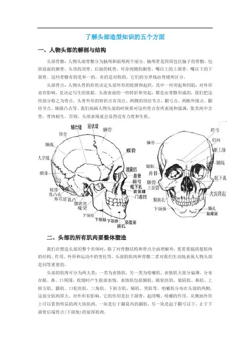 了解头部造型知识的五个方面