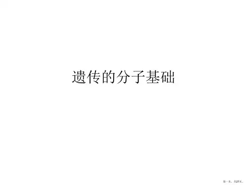 遗传的分子基础PPT