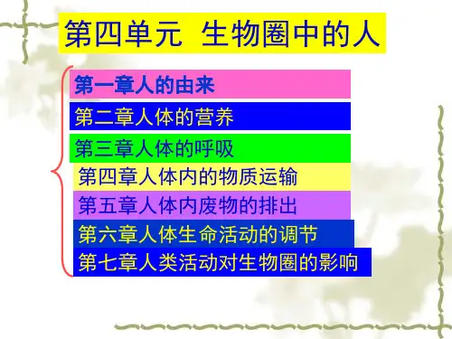 七年级下册生物