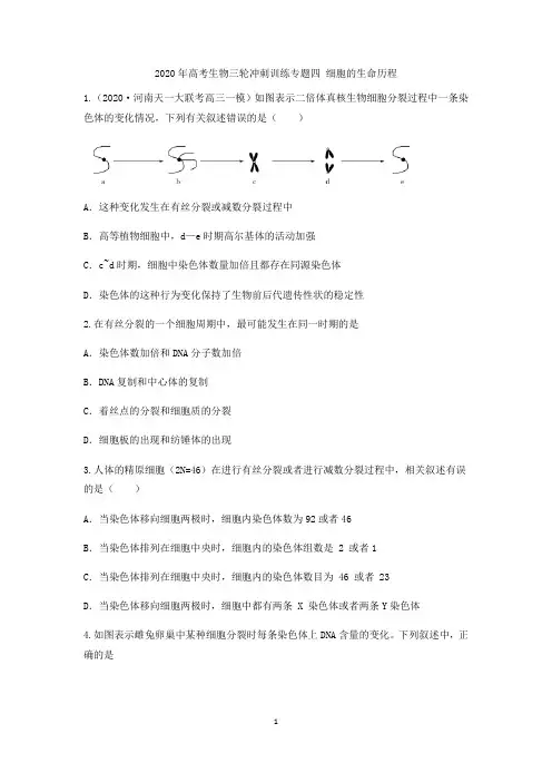 【高考冲刺】2020年高考生物三轮冲刺训练专题四 细胞的生命历程(含答案解析)