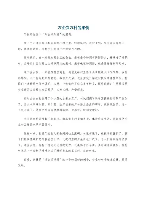 万企兴万村的案例