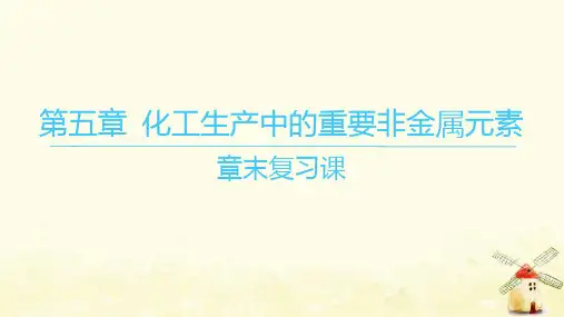 高中化学第五章化工生产中的重要非金属元素章末复习课新人教版必修第二册