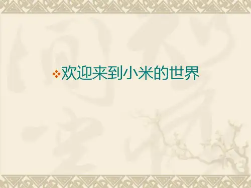 小米手机公司案例介绍   饥饿营销