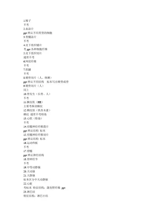 组胚实验考试内容