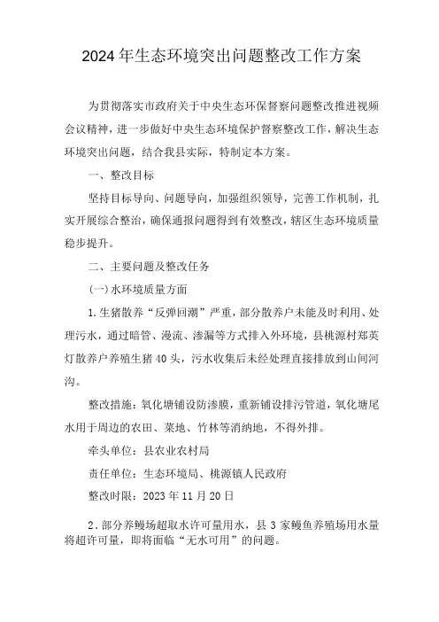 2024年生态环境突出问题整改工作方案