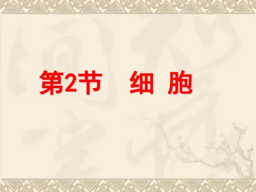 (浙教版)七年级上册科学2.2细胞(31张ppt)