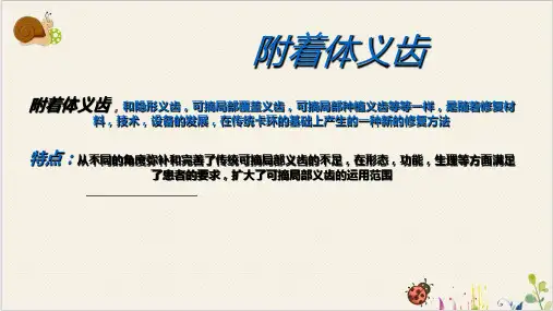 修复学附着体PPT.